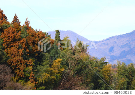 山脈和森林 山脈和森林 98463038