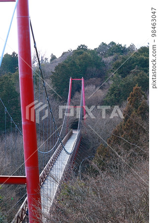Suspension bridge in the forest Suspension bridge in the forest 98463047
