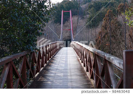 森林中的吊橋 98463048
