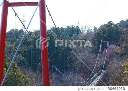 森林中的吊橋 森林中的吊橋 98463050