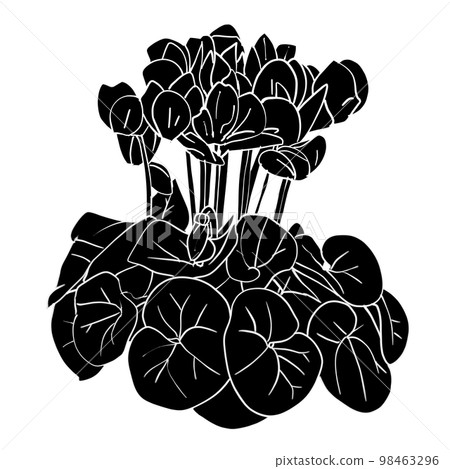 仙客來的時尚單色插畫素材 98463296