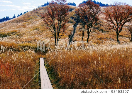 托峰高原　 98463307