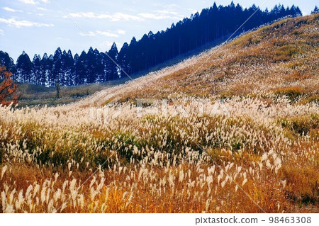 Tonomine Plateau　 98463308