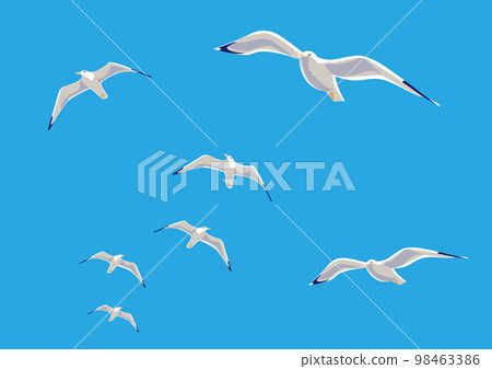 Flock of seagulls 01, blue sky 98463386