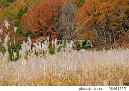 Tonomine Plateau Tonomine Plateau 98463555