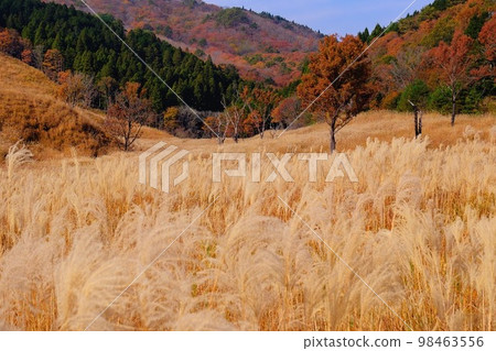 Tonomine Plateau Tonomine Plateau 98463556