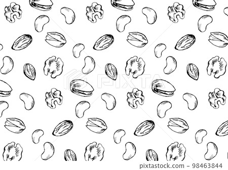 各種堅果背景_單色線描 各種堅果背景_單色線描 98463844