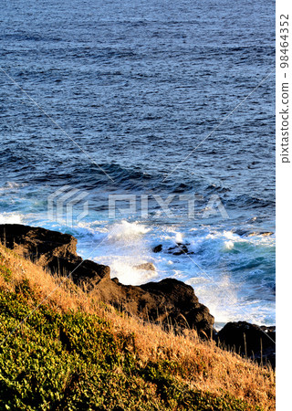 三浦半島城島海岸的夜景 98464352