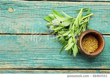 Fenugreek seeds on old wooden table Fenugreek seeds on old wooden table 98464501