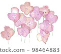 花卉 98464883