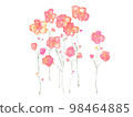 小花 98464885