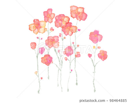 小花 小花 98464885