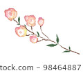 花單輪 98464887