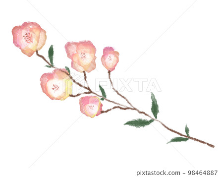 Flower single wheel 98464887