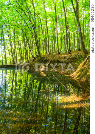 Fresh green and eco image Fresh green and eco image 98465250