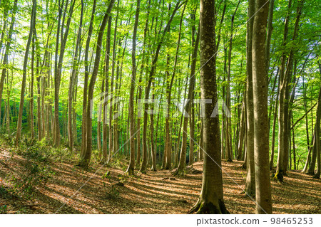 Fresh green and eco image 98465253