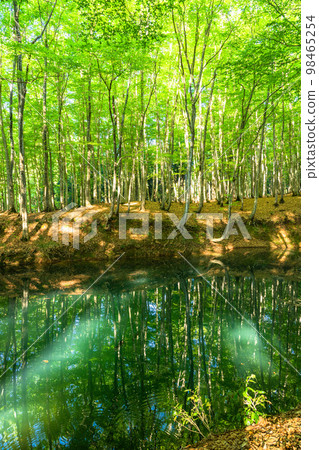 Fresh green and eco image 98465254