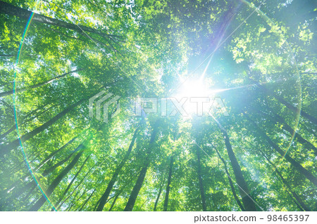 Fresh green and eco image Fresh green and eco image 98465397
