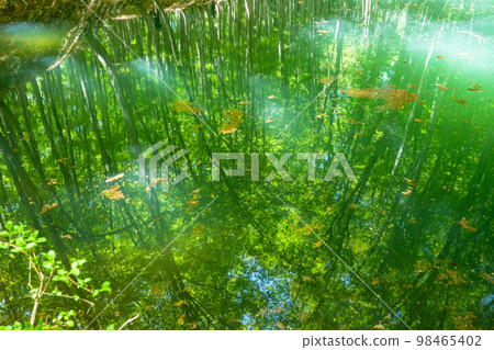 Fresh green and eco image Fresh green and eco image 98465402