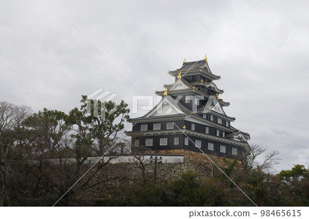 一月新岡山城橫位 98465615