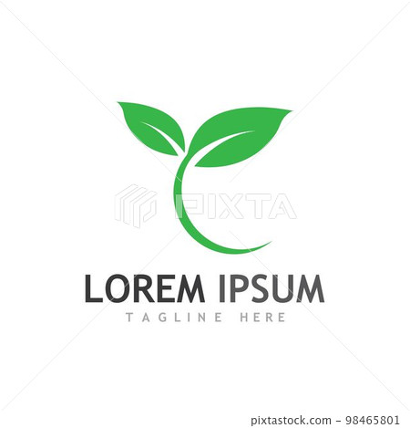leaf logo and vector images 98465801