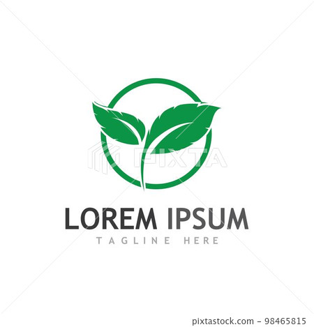 leaf logo and vector images leaf logo and vector images 98465815