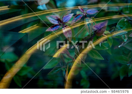 A multiple exposure photograph of beautiful green plants with lights on the spiral staircase in the park A multiple exposure photograph of beautiful green plants with lights on the spiral staircase in the park 98465976