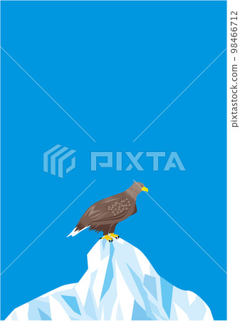 White-tailed eagle 06 drift ice blue sky vertical type White-tailed eagle 06 drift ice blue sky vertical type 98466712