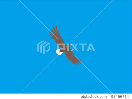 white-tailed eagle 04 flying blue sky white-tailed eagle 04 flying blue sky 98466714