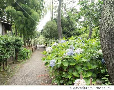 Sanphen garden in early summer Sanphen garden in early summer 98466969