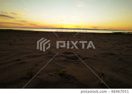 夕陽下的海灘 98467051