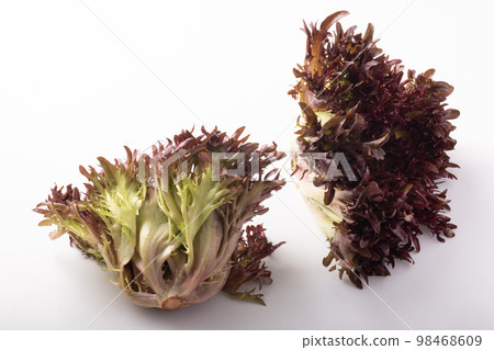 英俊的生菜 英俊的生菜 98468609
