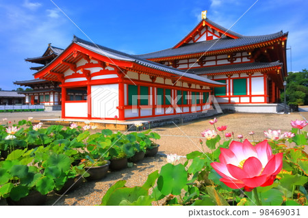[奈良縣]晴天下的藥師寺（大禮堂） 98469031
