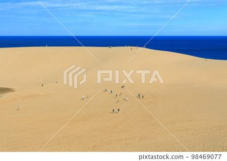 [Tottori Prefecture] Tottori Sand Dunes on a sunny day 98469077