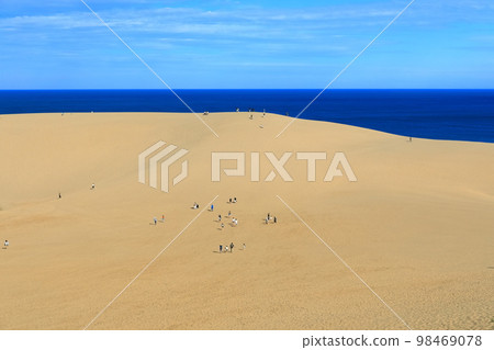 [鳥取縣]晴天的鳥取沙丘 98469078