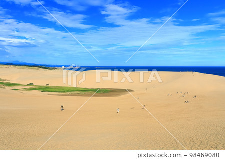 [鳥取縣]晴天的鳥取沙丘 98469080