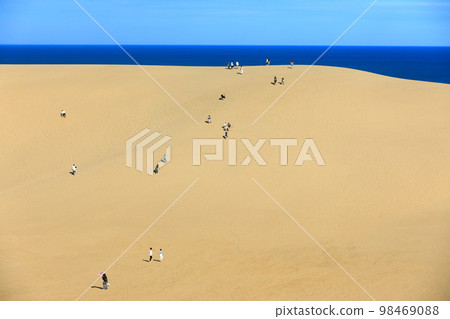 [Tottori Prefecture] Tottori Sand Dunes on a sunny day 98469088