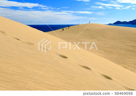 [Tottori Prefecture] Tottori Sand Dunes on a sunny day 98469098