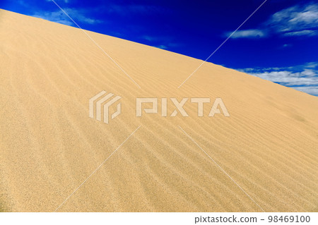 [Tottori Prefecture] Tottori Sand Dunes on a sunny day 98469100
