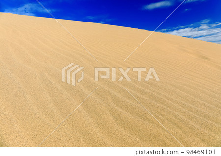 [Tottori Prefecture] Tottori Sand Dunes on a sunny day 98469101