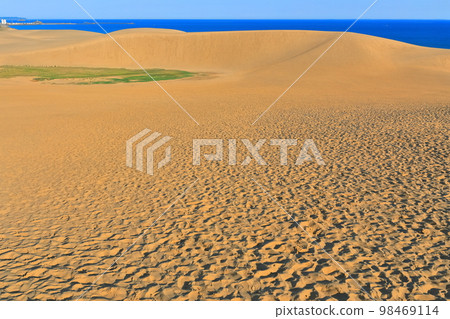 [Tottori Prefecture] Tottori Sand Dunes on a sunny day 98469114