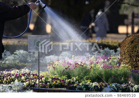 給花壇澆水 灑水 給花壇澆水 灑水 98469510