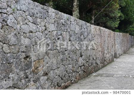 Nakamura Family Residence – National Important Cultural Property 98470001