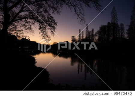 從森林裡出來的日出太陽 98470470