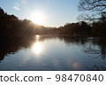 日出陽光穿過森林 98470840