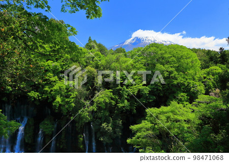 [Shizuoka Prefecture] Mt. Fuji and Shiraito Falls 98471068