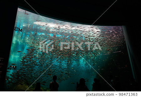 Notojima Aquarium fish Notojima Aquarium fish 98471363