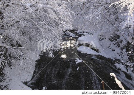 Seikan Otaki 98472004