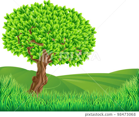 Grass Field Hills Grasslands Tree Landscape Grass Field Hills Grasslands Tree Landscape 98473068