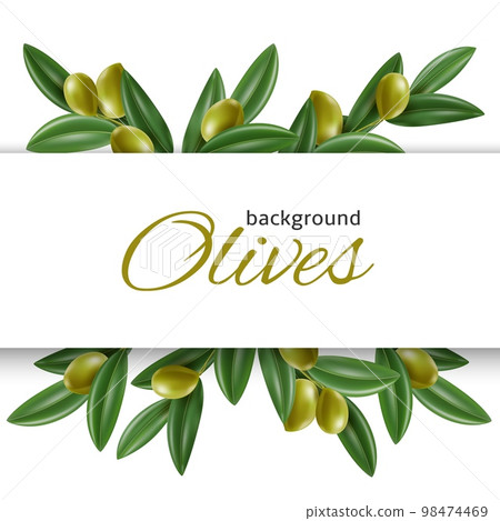 Realistic olive frame. Green leaves with vegetables, mediterranean natural product, decorative sprigs, place for text, 3d isolated elements, oil packaging design, utter vector concept Realistic olive frame. Green leaves with vegetables, mediterranean natural product, decorative sprigs, place for text, 3d isolated elements, oil packaging design, utter vector concept 98474469
